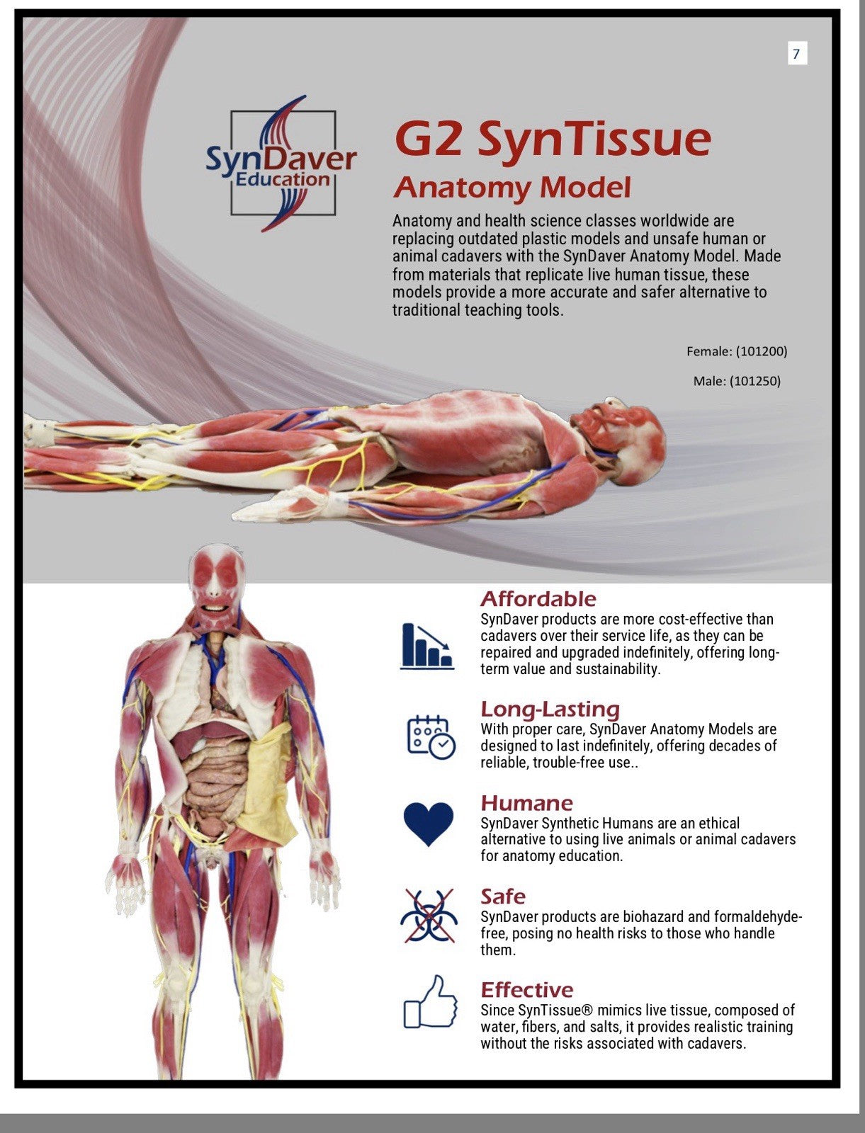 SynDaver Human Anatomy Model Realistic Medical Trainer Full Size $81k
