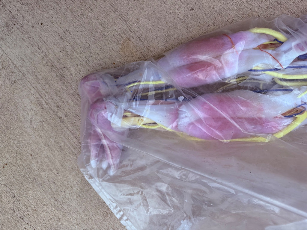 SynDaver Human Anatomy Model Realistic Medical Trainer Full Size $81k