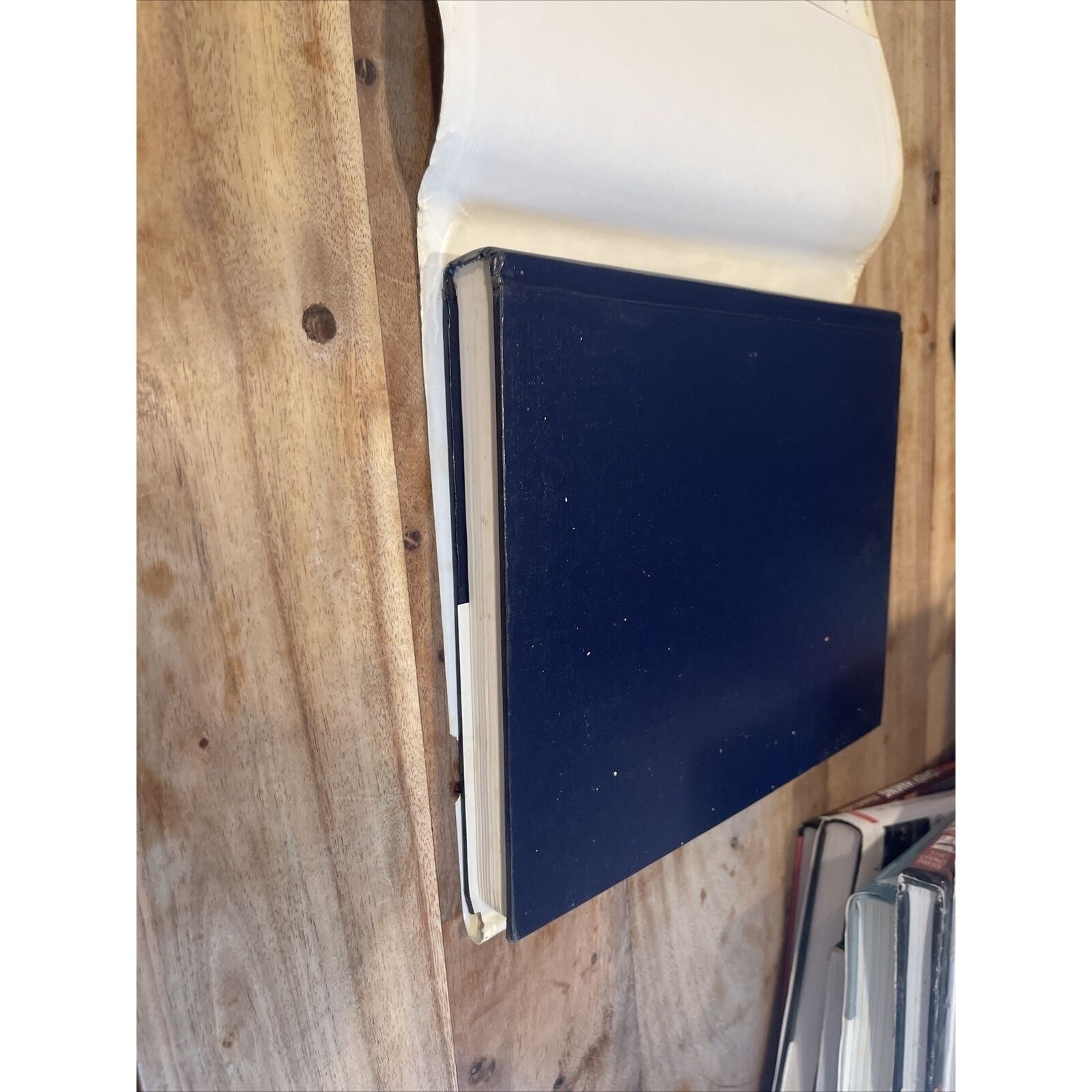 Bread Alone : Bold Fresh Loaves from Your Own Hands by Judith Blahnik and Daniel