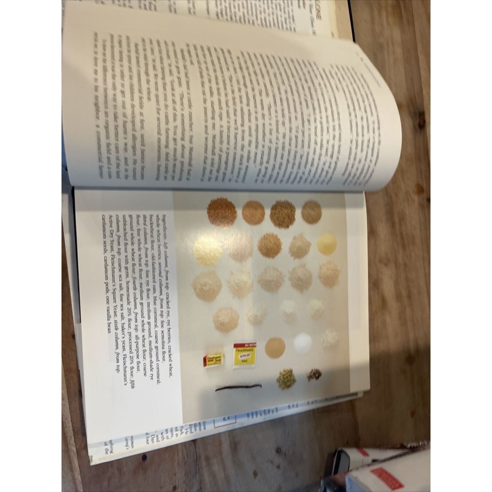 Bread Alone : Bold Fresh Loaves from Your Own Hands by Judith Blahnik and Daniel