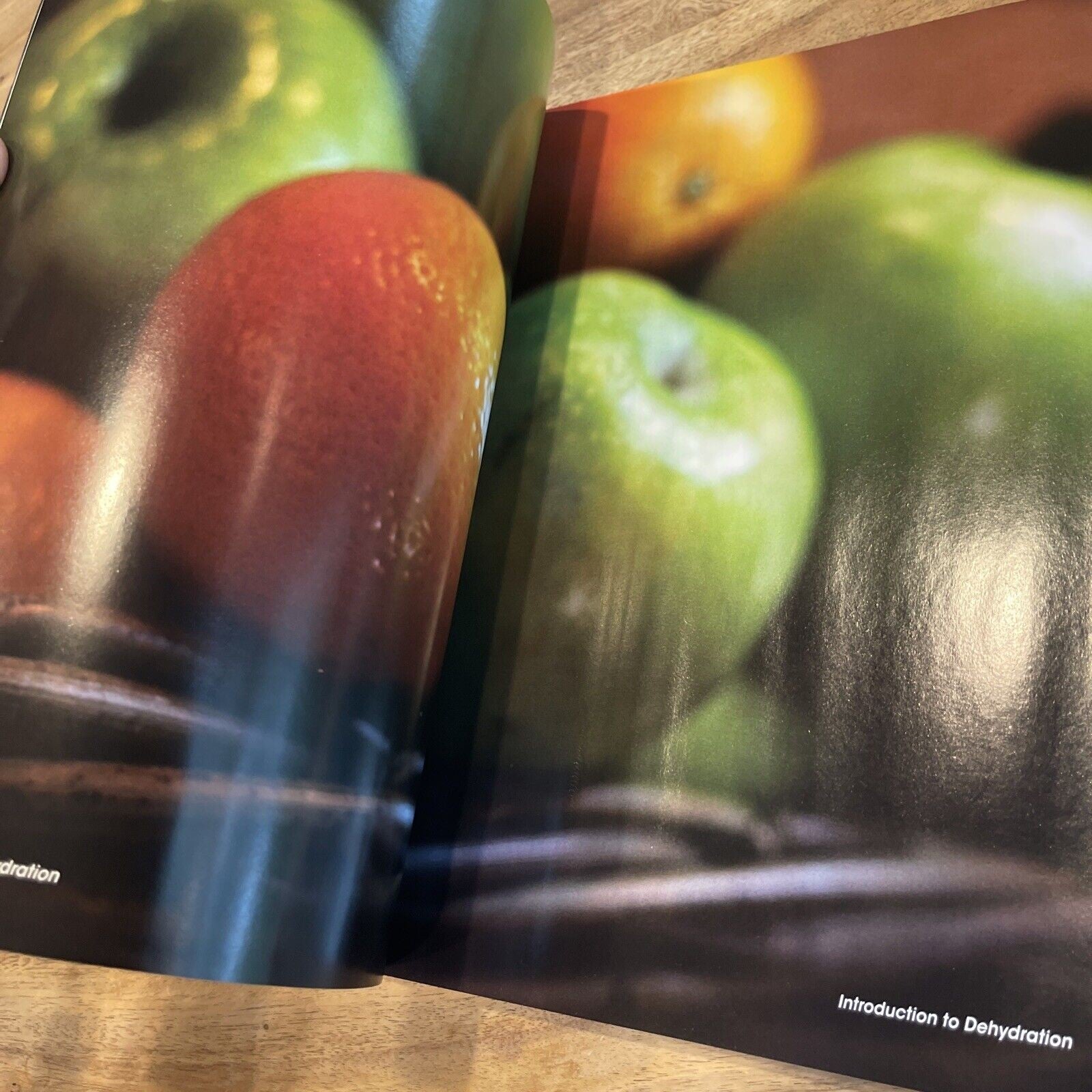 Preserve It Naturally : A Complete Guide to Food Dehydration by Robert Scharff &