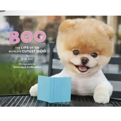 Boo : The Life of the World's Cutest Dog
