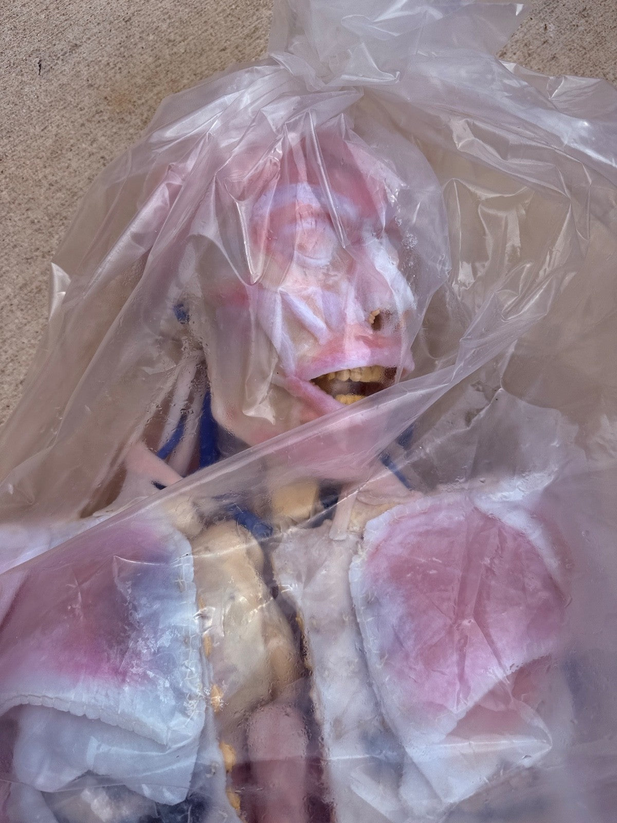 SynDaver Human Anatomy Model Realistic Medical Trainer Full Size $81k