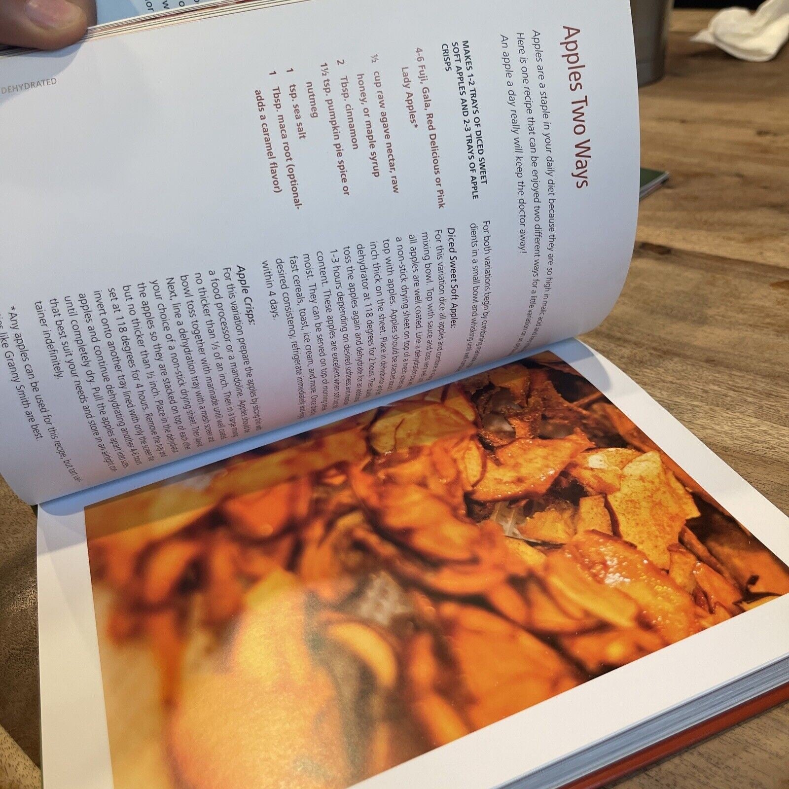 Simply Dehydrated : Delicious Raw Recipes That Explore Endless Possibilities