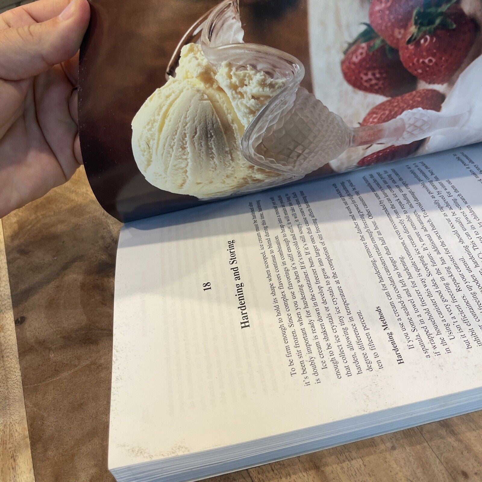 Ice Cream! The Whole Scoop by Gail Damerow (1995, Trade Paperback)
