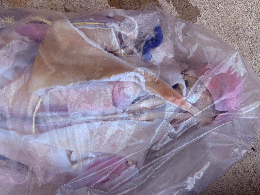 SynDaver Human Anatomy Model Realistic Medical Trainer Full Size $81k