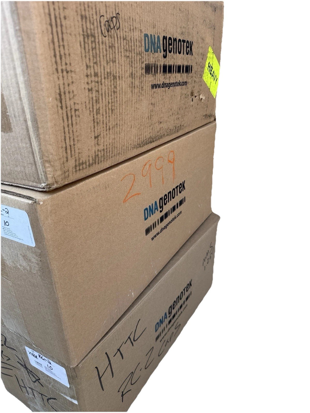 Genotek DNA Blood Collection Tubes For DNA RNA & METABOLOMICS, Box Of 10,000