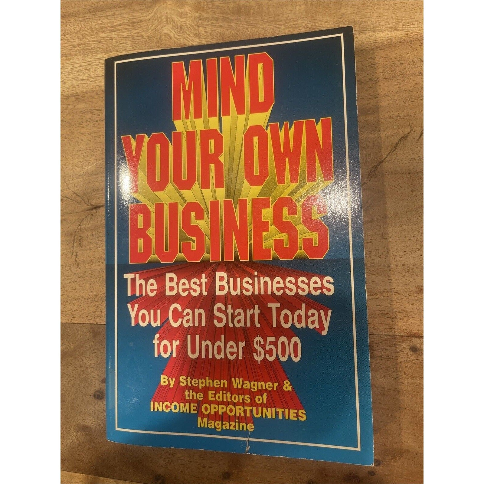 MIND YOUR OWN BUSINESS! The Best Business You Can Start Today For Under $500